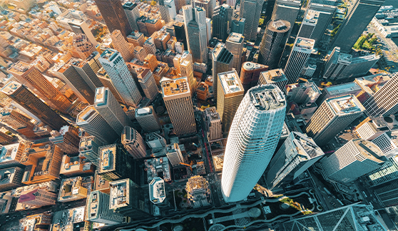 Principal, Asset Manager Global en Latinoamérica